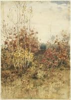 Woods in the Fall