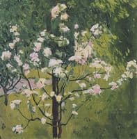 Spring Blossoms