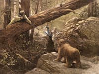A Bear Hunt in the Rocky Mountains