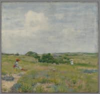 Shinnecock Hills