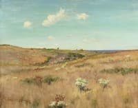 Shinnecock Hills, Long Island
