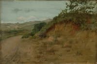 Barren Hillside