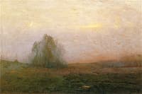 Moonlit Reverie