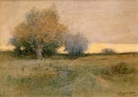 A Quiet Pond