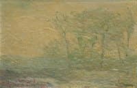 Misty Landscape