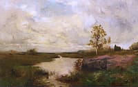 Marsh Landscape