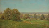 Summer Landscape