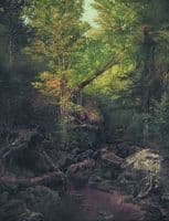 Forest Stream, Keene Valley