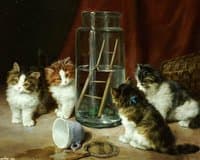 The Prisoners