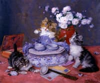 Kittens Playing
