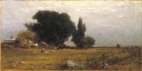 Trees and Meadow