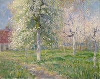 Meadows