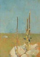 Mullein Stalks, Windham, CT