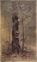 In the Woods