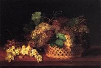 Still Life with Grapes