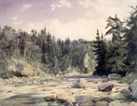 Mountain Stream