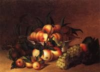 Still Life with Fruit