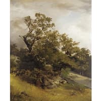 Study of Trees