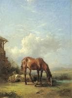 Sheep and a Horse on a Sunny Afternoon