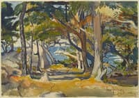 Cedar Grove by the Sea