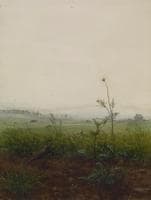 Landscape with Bird and Weeds