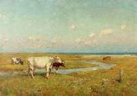 Suffolk Marshes