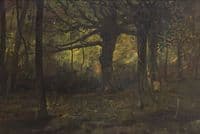 Untitled - Wooded Landscape