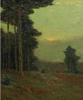 Edge of the Wood