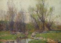 A Meadow Stream