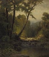 Woodland Landscape