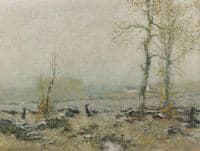 Spring Landscape