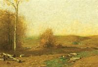 Late Afternoon in Autumn
