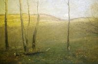 Afternoon Light On The Hills