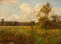 A Breezy Day