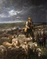 Shepherd and His Flock