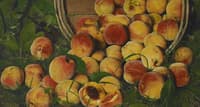Basket of Peaches