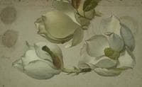 Study of Three Magnolia Blossoms