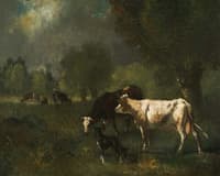 Cattle in Pasture