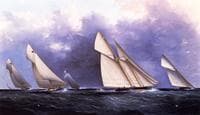 The Yacht Race