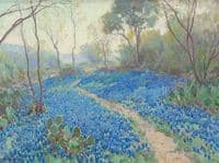 A Hillside of Blue Bonnets- Early Morning, Near San Antonio Texas