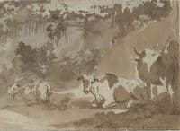 Cattle in the Farnese Gardens