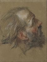 Head of an Old Man