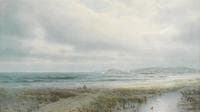 Calm Shoreline