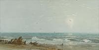 Driftwood on the Shore