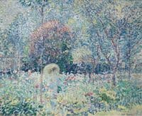 The Parasol