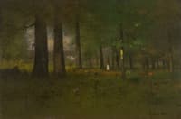 The Edge of the Forest