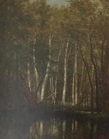 White Birches