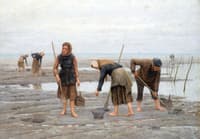 Clam Gatherers