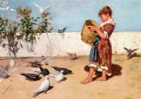 Feeding the Pigeons