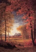 Autumn in  America, Oneida County, New York